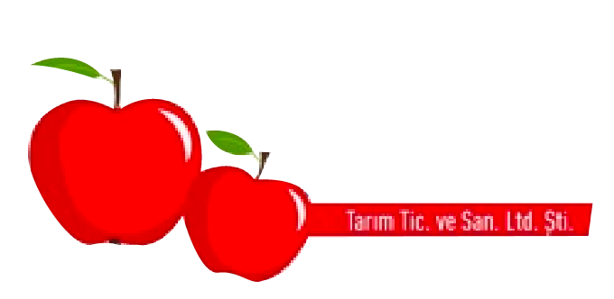Sency Fresh